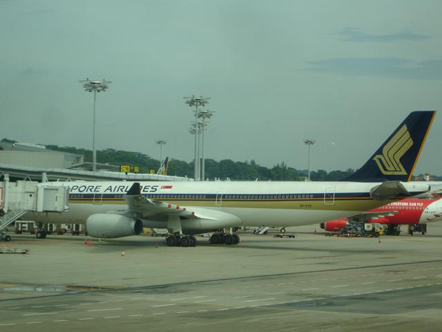 DSC00390.jpg
