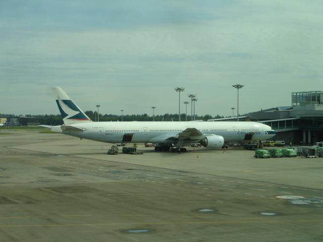 DSC00387.jpg