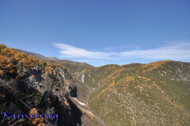 Copy of DSC_0959.jpg