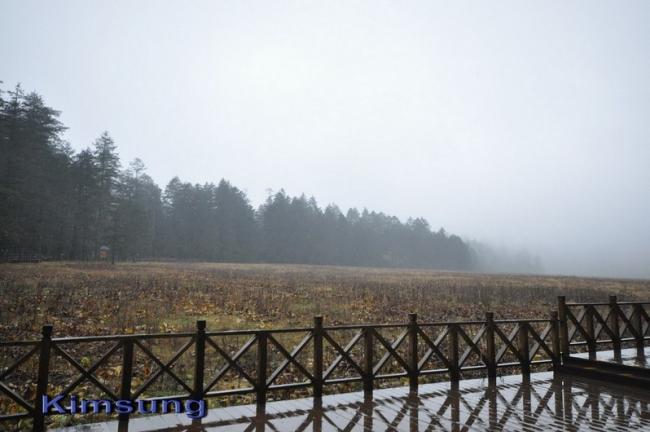 DSC_0433.jpg