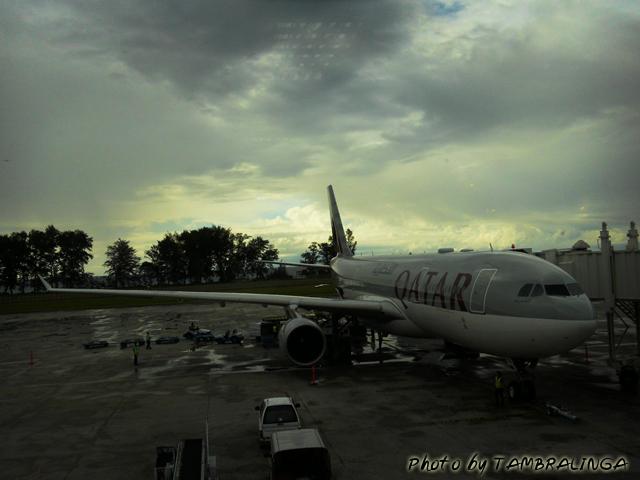 SDC12672.jpg