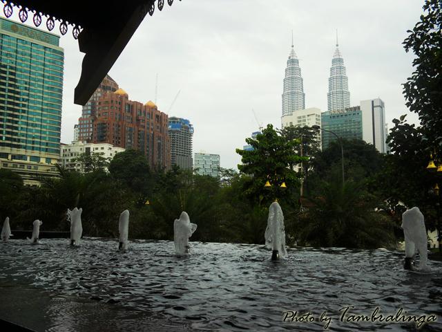 SDC11842.jpg