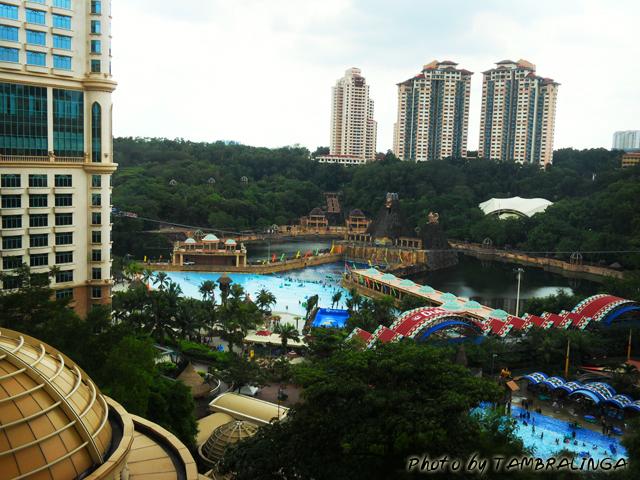 SDC12072.jpg