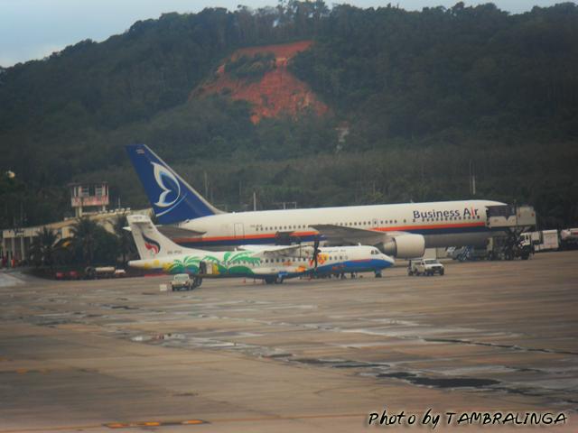 SDC12667.jpg