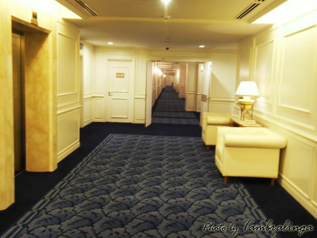 SDC12135.jpg