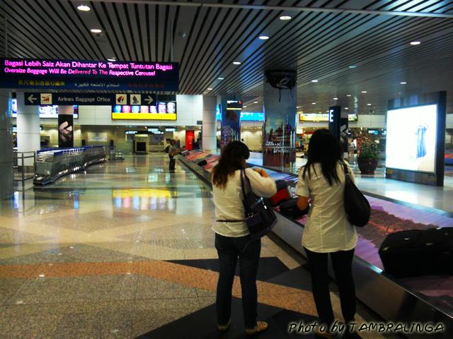SDC11782.jpg