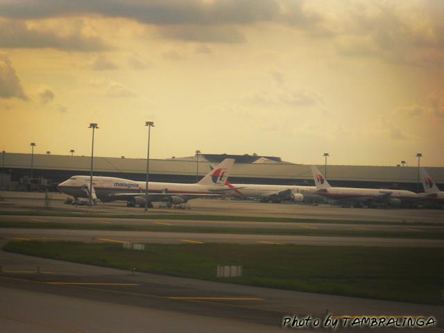 SDC12621.jpg