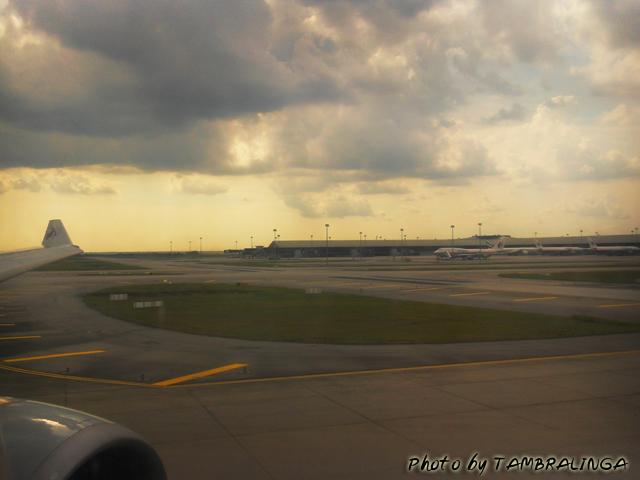 SDC12619.jpg