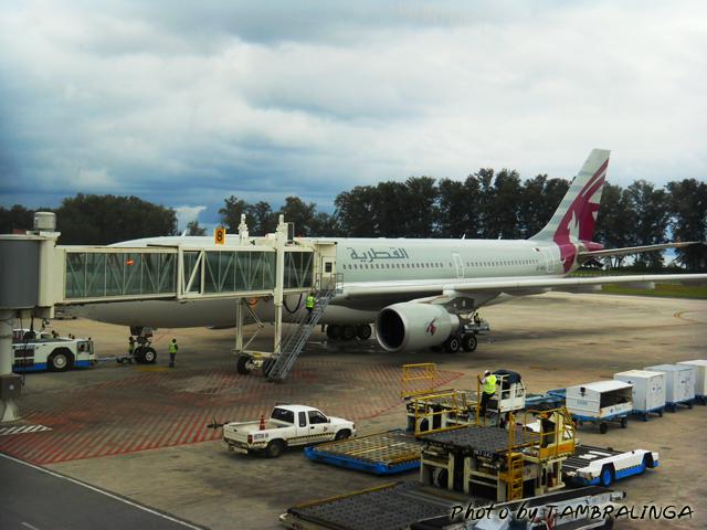 SDC11691.jpg