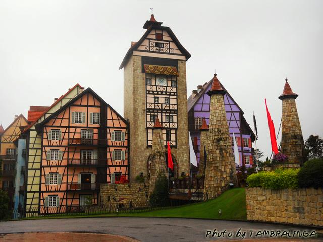 SDC12355.jpg