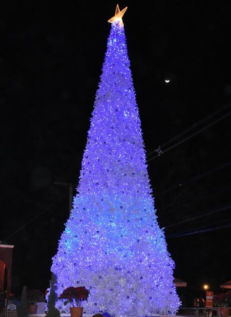 DSC_7616.jpg