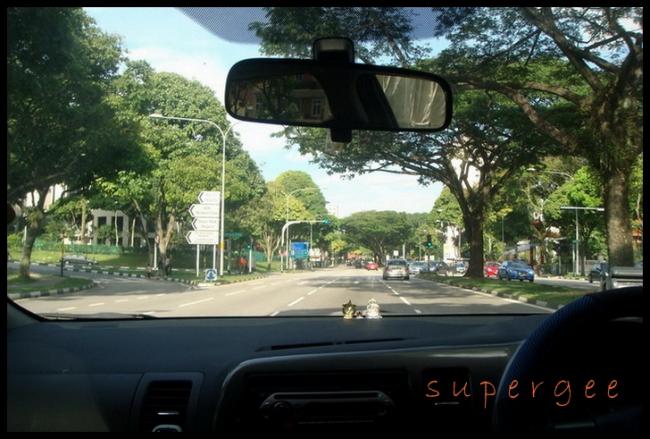 SIN_079.jpg