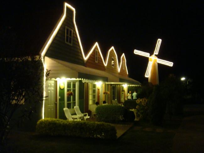 31.jpg