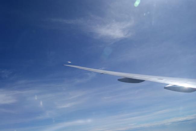DSC03785_resize.JPG