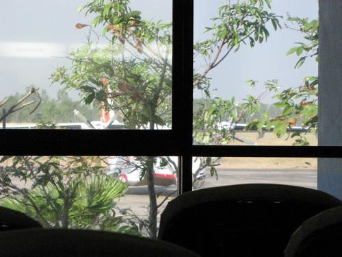 Picture 017_resize.jpg