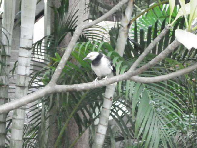 100_1617_resize.JPG