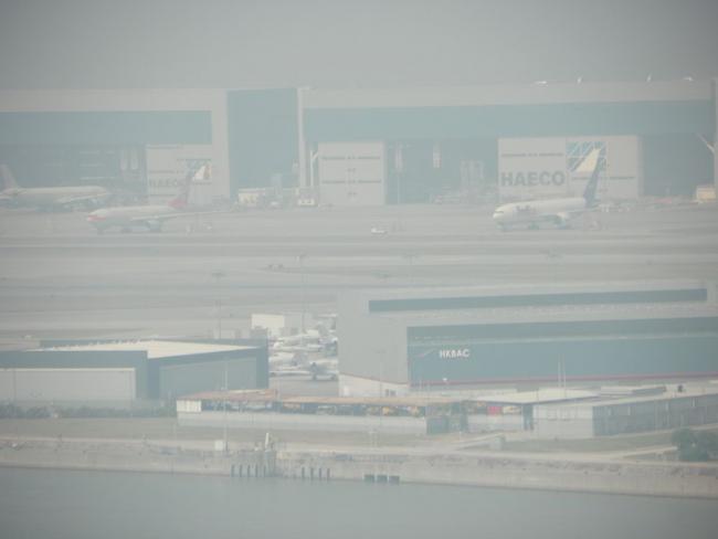 100_2000_resize.JPG