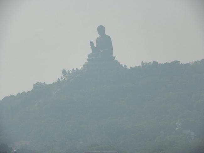 100_1890_resize.JPG