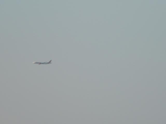 DSCN5374.JPG