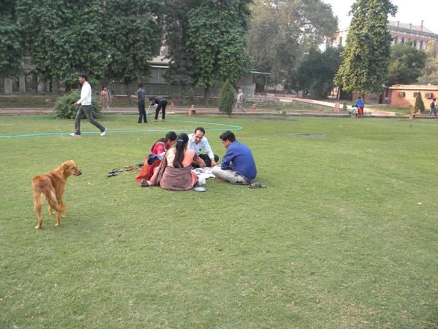 DSCN5475.JPG