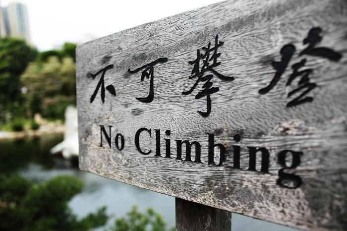 _MG_1032.jpg