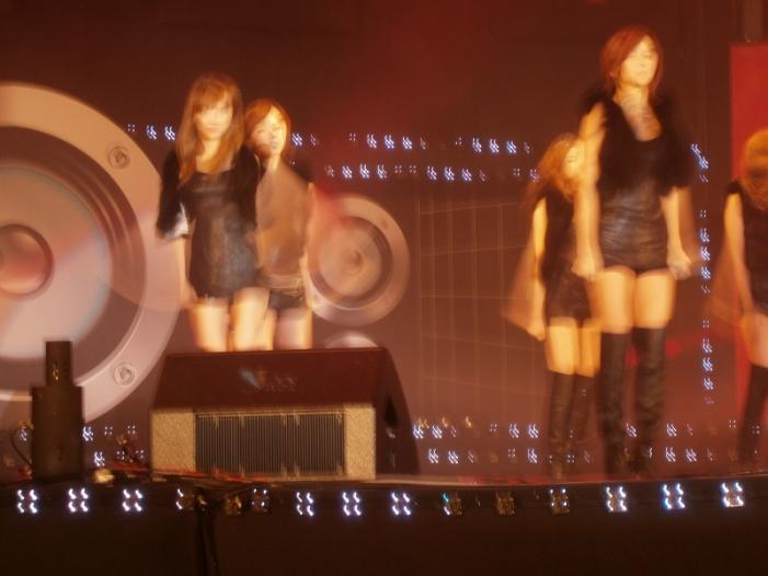 PC020092 (800x600).jpg