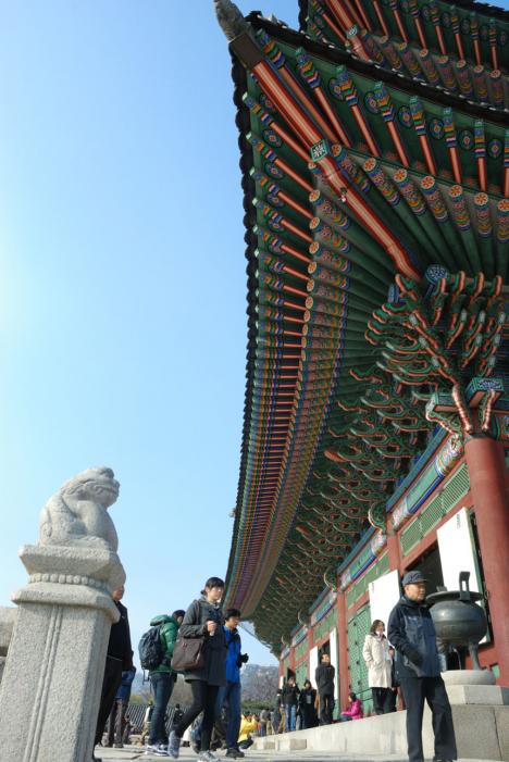 DSC_8663.jpg