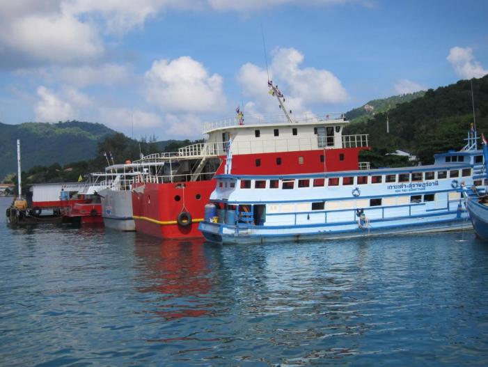 335 .JPG