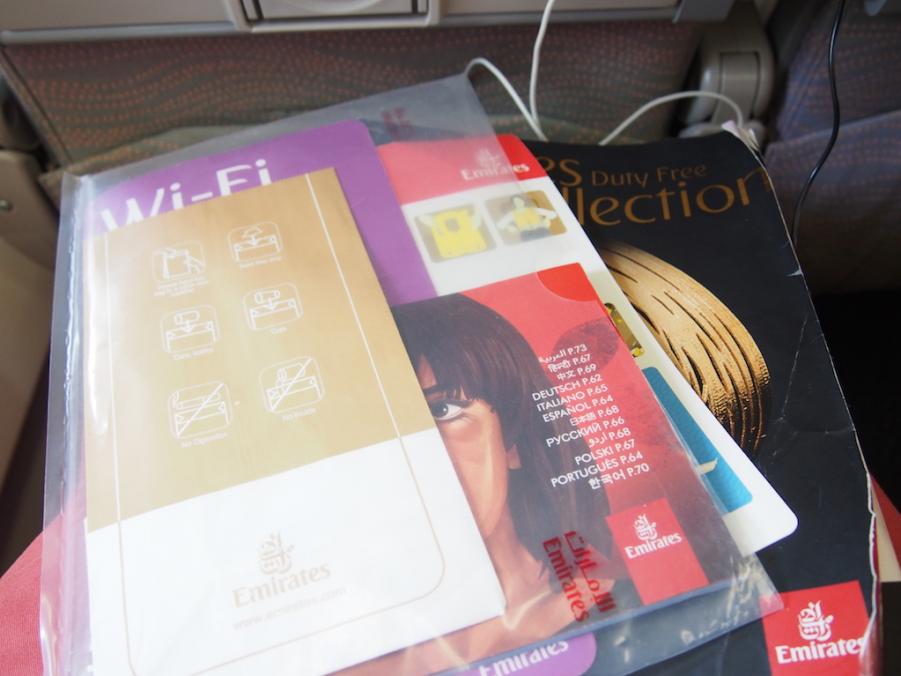 PA031110.JPG