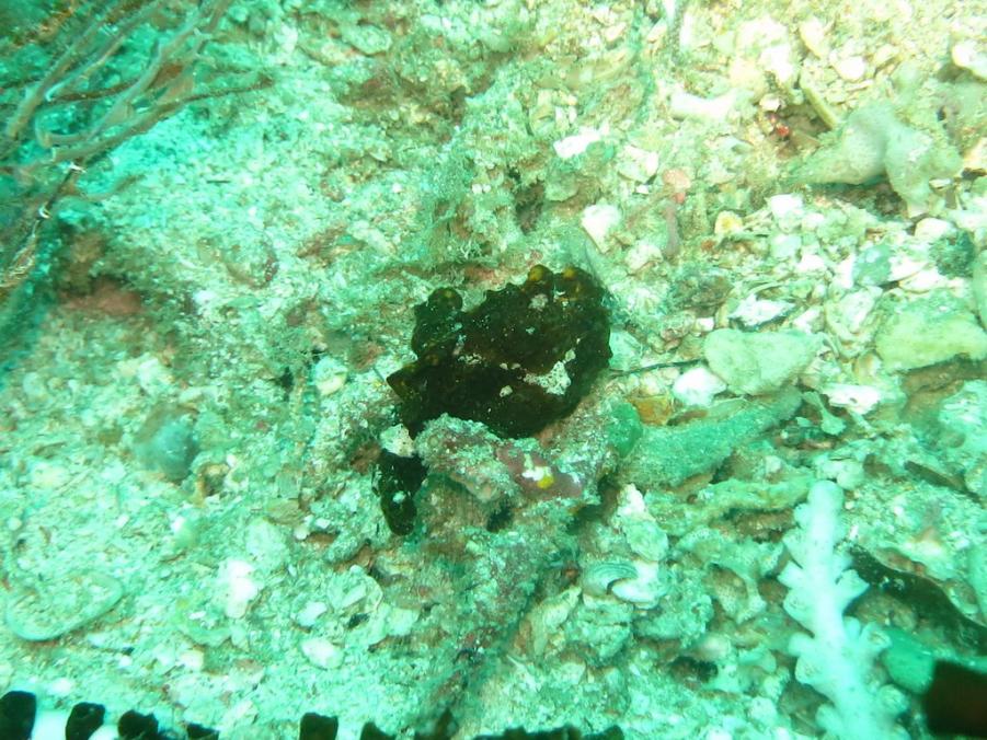 South Similan Dive 0401.JPG