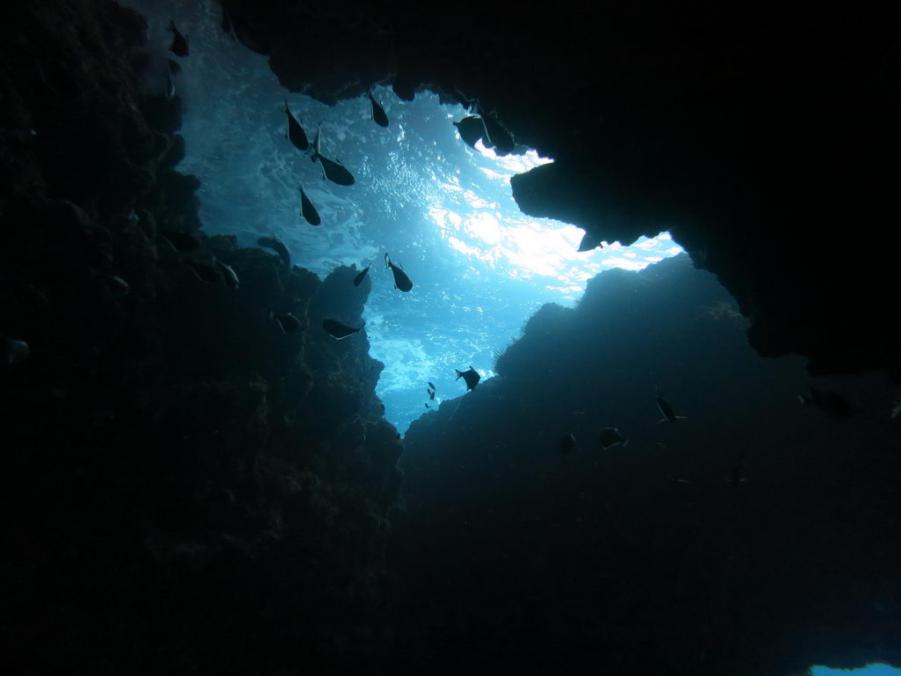 South Similan Dive 0666.JPG
